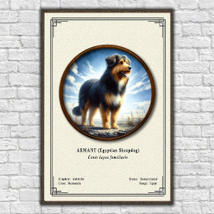 Poster Armant (Cão de Ovelha Egípcio) Série de Zoologia