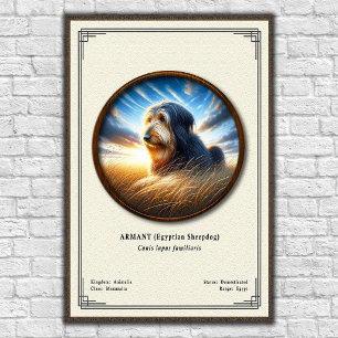 Poster Armant (Cão de Ovelha Egípcio) Série de Zoologia