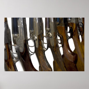Póster armas de caça