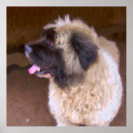 Poster Armênio - Retrato de Cachorro