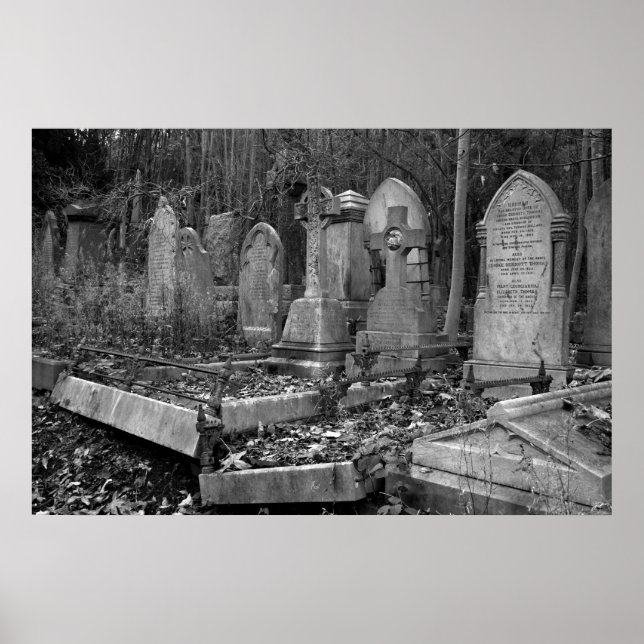 Poster ArnosVale4 (Frente)