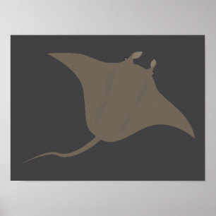 Poster Arraia