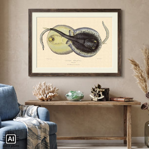 Póster Arraias-lixas manchadas vintage, animais marinhos
