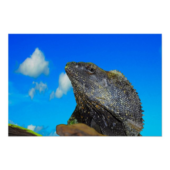 Póster Arrancado Amigo (Frente)