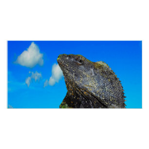 Póster Arrancado Amigo