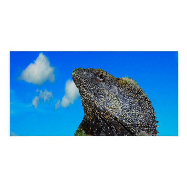 Póster Arrancado Amigo (Frente)