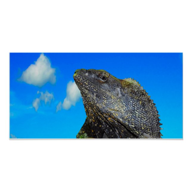 Póster Arrancado Amigo (Frente)