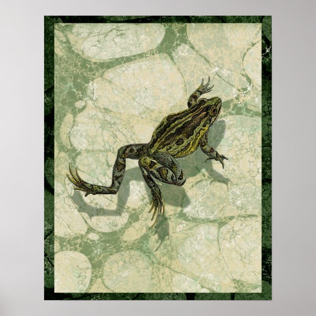 Póster Arrancas na água (Frente)