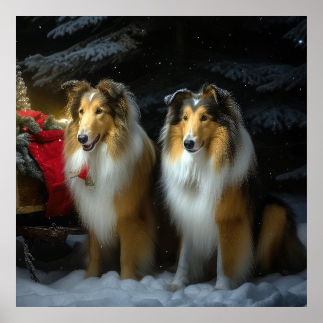 Poster Arranjo de Natal de Collie Snowy Sleigh (Frente)