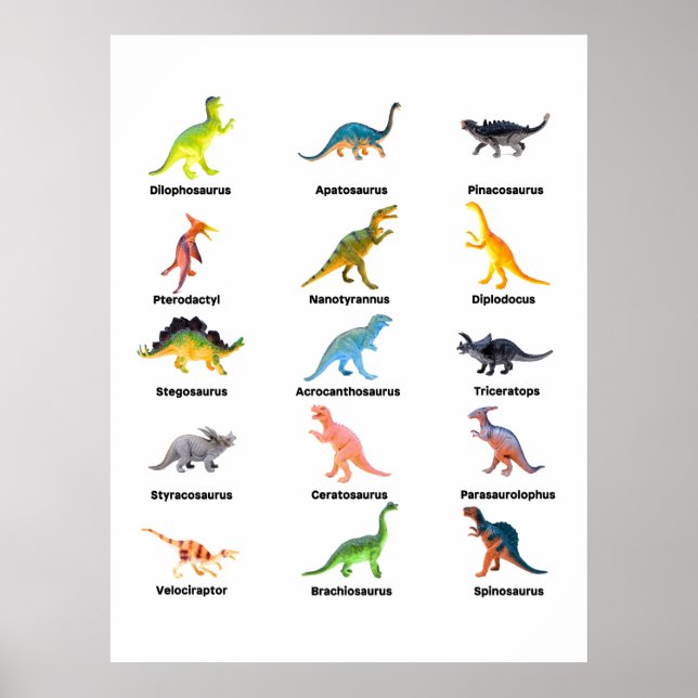 Poster Array de Dinossauros (Frente)