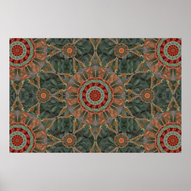 Poster Array Ocotillo 1 (Frente)