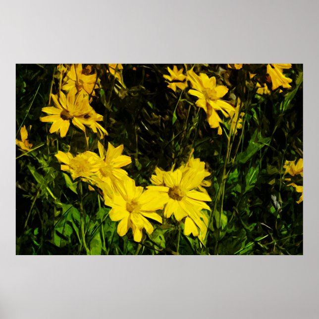 Póster Arrofiraf Balsamroot Yellow Wilflower Abstrato (Frente)