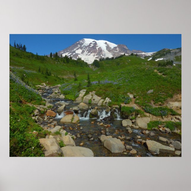 Poster Arroyo Edith no Parque Nacional Mount Rainier (Frente)