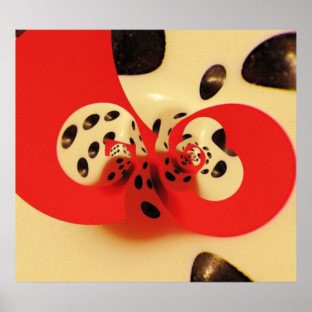 Póster Arroz (Frente)