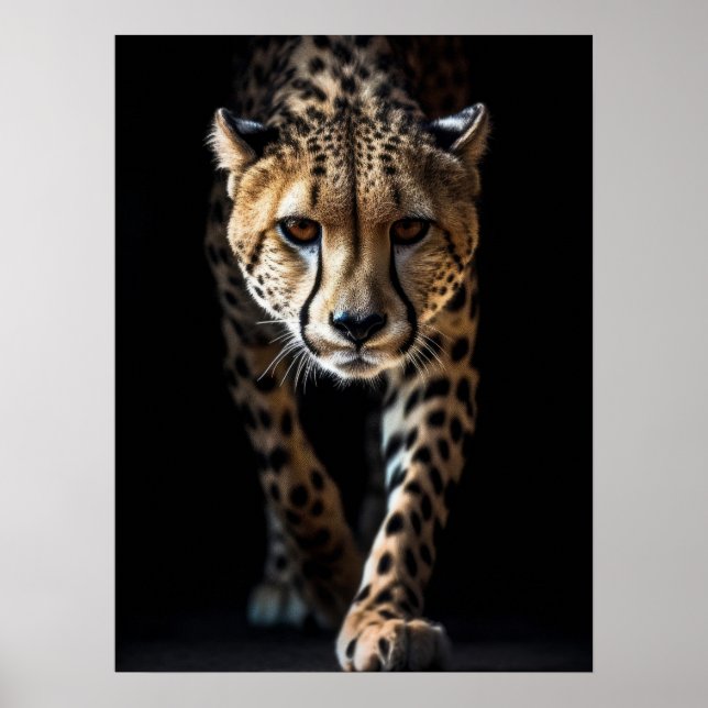 Poster Art Cheetah (Frente)