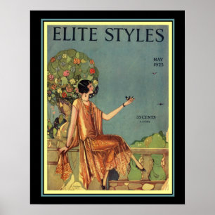 Poster Art Deco Elite Estilos Cobrir 16 x 20
