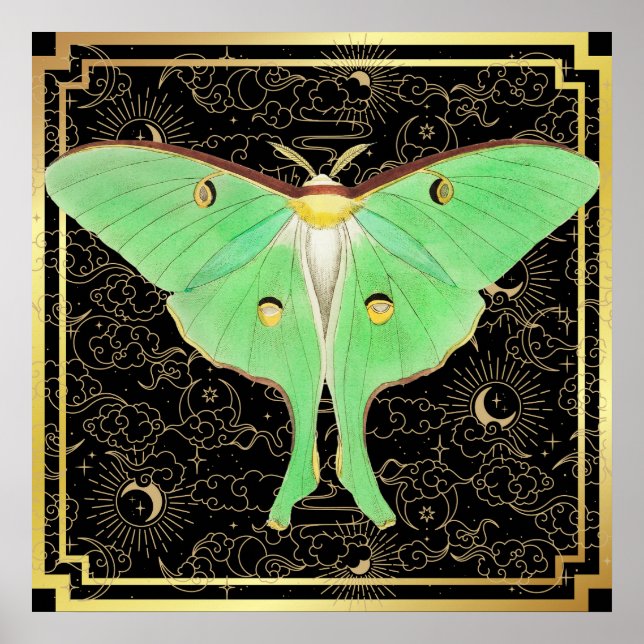 Poster Art Deco Luna Moth (Frente)