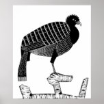 Poster Art Deco Pauwie Bird willife Ilustração<br><div class="desc">Art Deco Pauwie Bird Willife black and white Illustration poster</div>