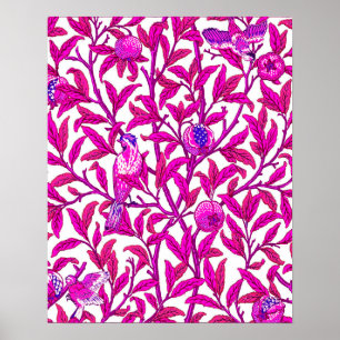 Poster Art Nouveau Bird e Pomegranate, Fuchsia e Violet