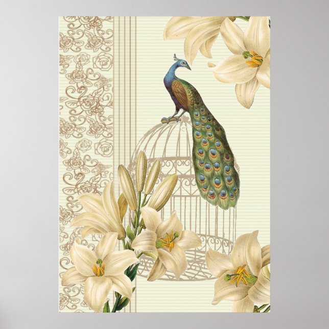 Poster art nouveau french lily vintage birdcage paciock (Frente)