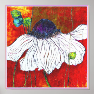 Póster ART-ON-CANVAS: 'Anemone da Noite Branca' 15"x15"