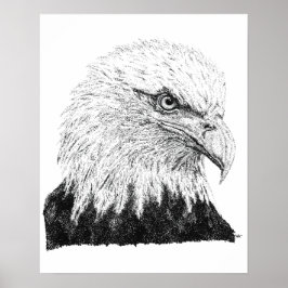 Poster Arte Águia Careca Cabeça Desenhada à Mão Preto Bra