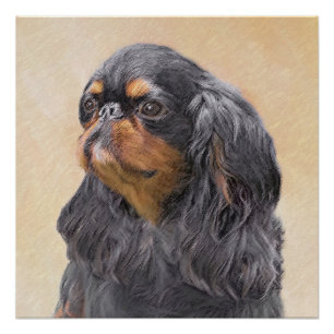 Póster Arte Animal Original Pintura Inglesa Toy Spaniel