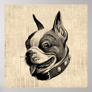 Poster Arte Antiquada de Cachorro Cachorro Cachorro