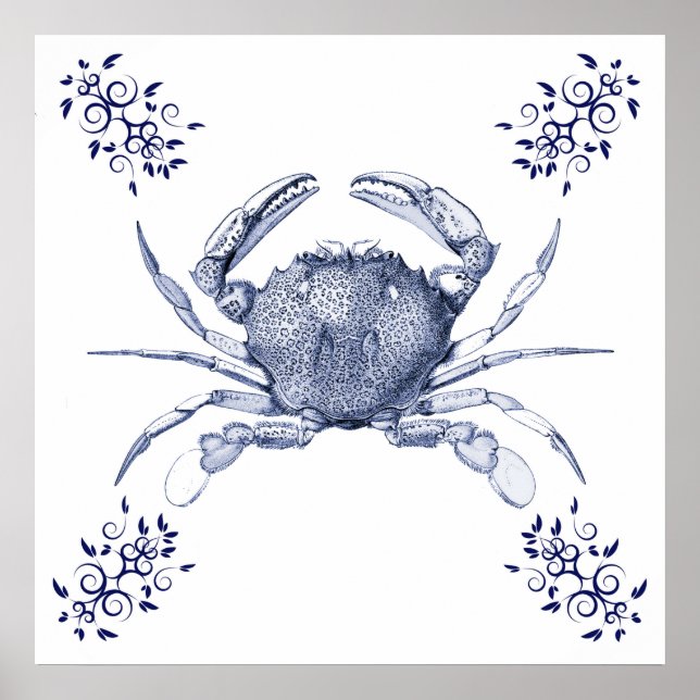 Póster Arte Aquática ~ Caranguejo Comum Oceano Pacífico (Frente)