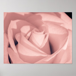 Poster Arte Arquivística de Rosa Rosa Romântica
