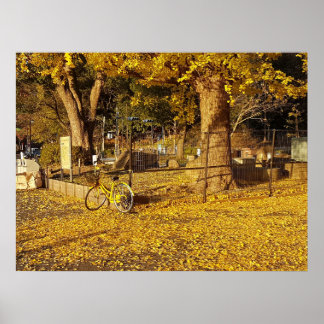 Poster Arte Através da Lente