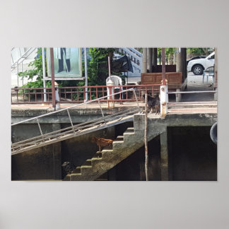Poster Arte Através da Lente
