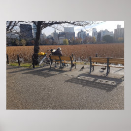 Poster Arte Através da Lente