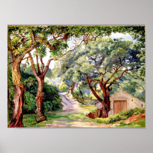 Poster Arte botânica: Cork Trees em Cintra perto de Lisb