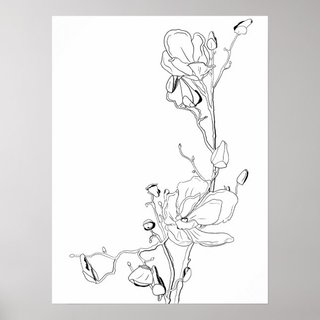 Poster Arte Botânica de Magnólia em Linhas (Frente)