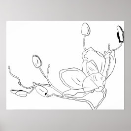 Poster Arte Botânica de Magnólia em Linhas