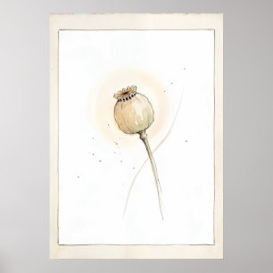 Poster Arte Botânica de Parede Cabeça de Semente de Papou