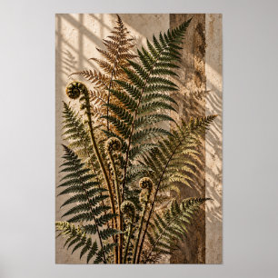 Poster Arte Botânica de Parede de Frondes de Samambaia Il