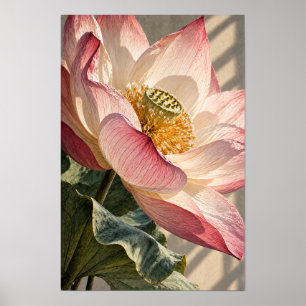 Poster Arte Botânica de Parede Flor de Lótus Rosa Close-U