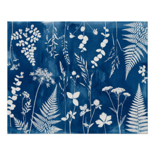 Póster Arte Botânica de Samambaia em Azul Cianotípico Pru