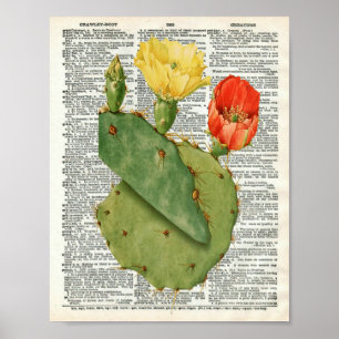 Poster Arte botânica do cacto do vintage na página 11 d