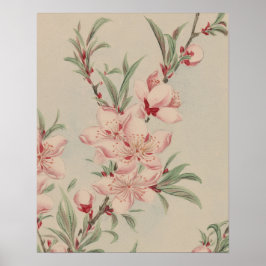 POSTER ARTE BOTÂNICA FLOR DE PÊSSEGO VINTAGE