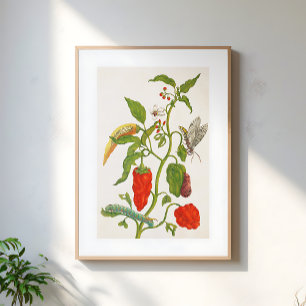 Poster Arte Botânica Floral de Frutas de Pimenta Vermelha