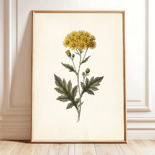 Poster Arte Botânica Ligularia Cottagecore para Parede