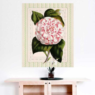 Póster Arte Botânica Vintage Camellia Strike Design
