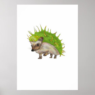 Poster Arte Botânicaouriço-castanha