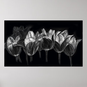 Póster Arte branca de Scratchboard do preto do jardim da