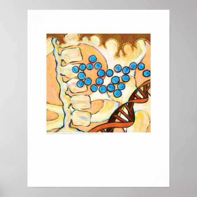 Poster Arte cobrir - Infiltração - Lambert (Frente)