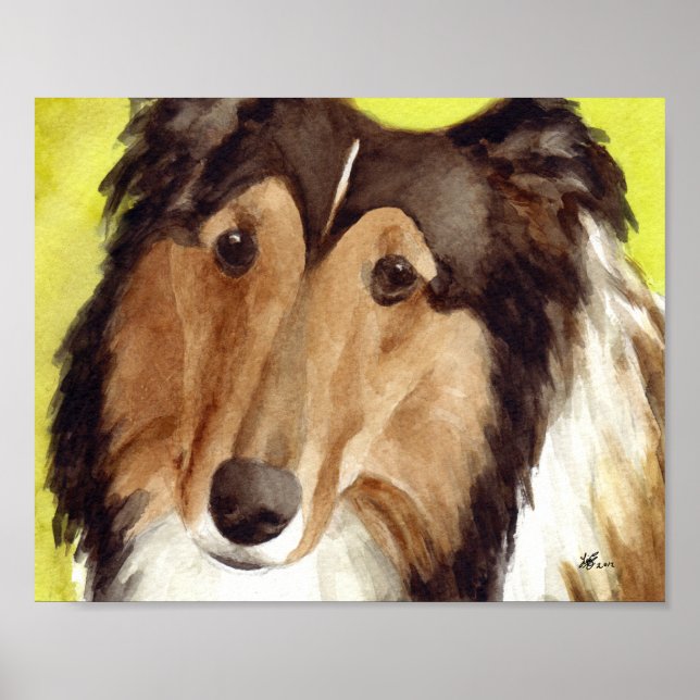 Póster Arte Collie (Frente)