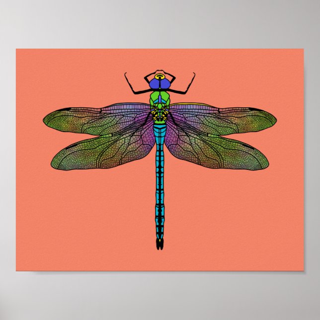 Poster Arte Colorida Imperadora Dragonfly (Frente)